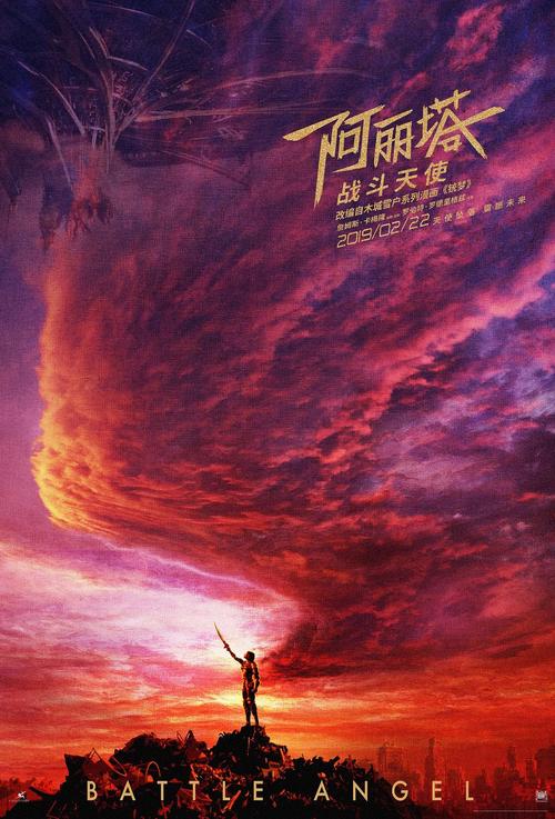 网上办假的行车证